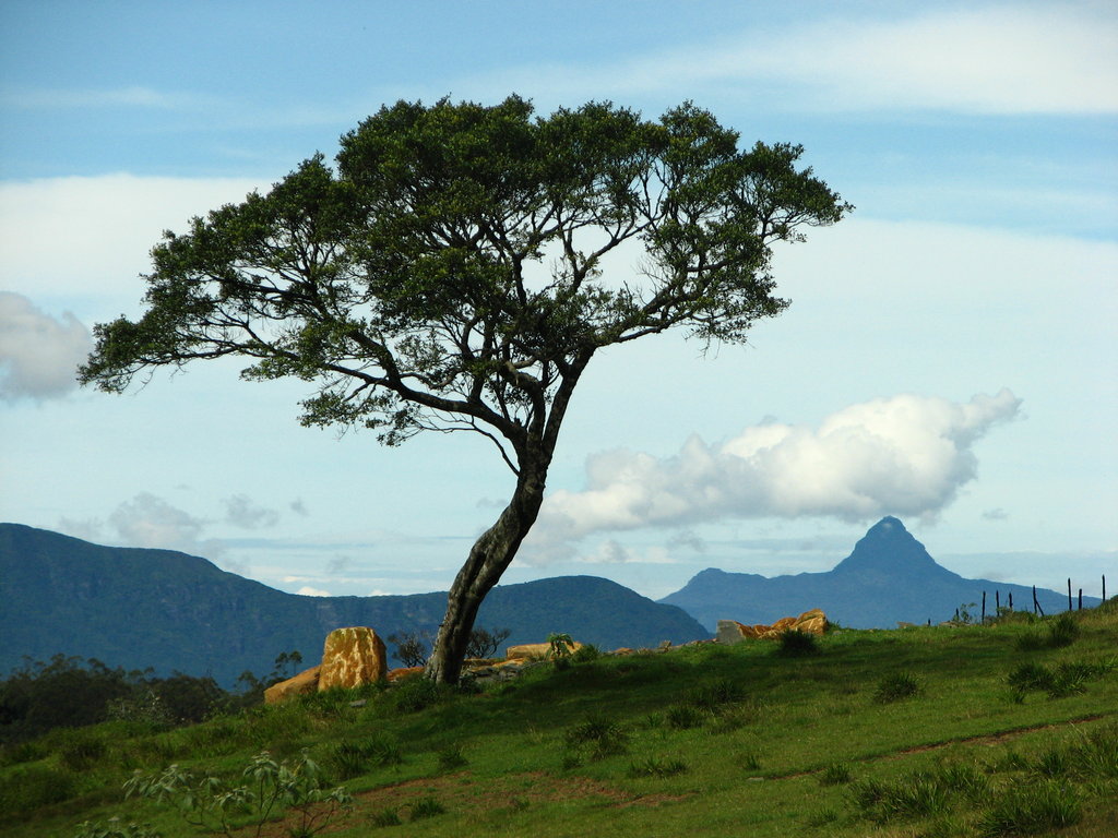 Ambewela: Sri Lanka's 'Little England'