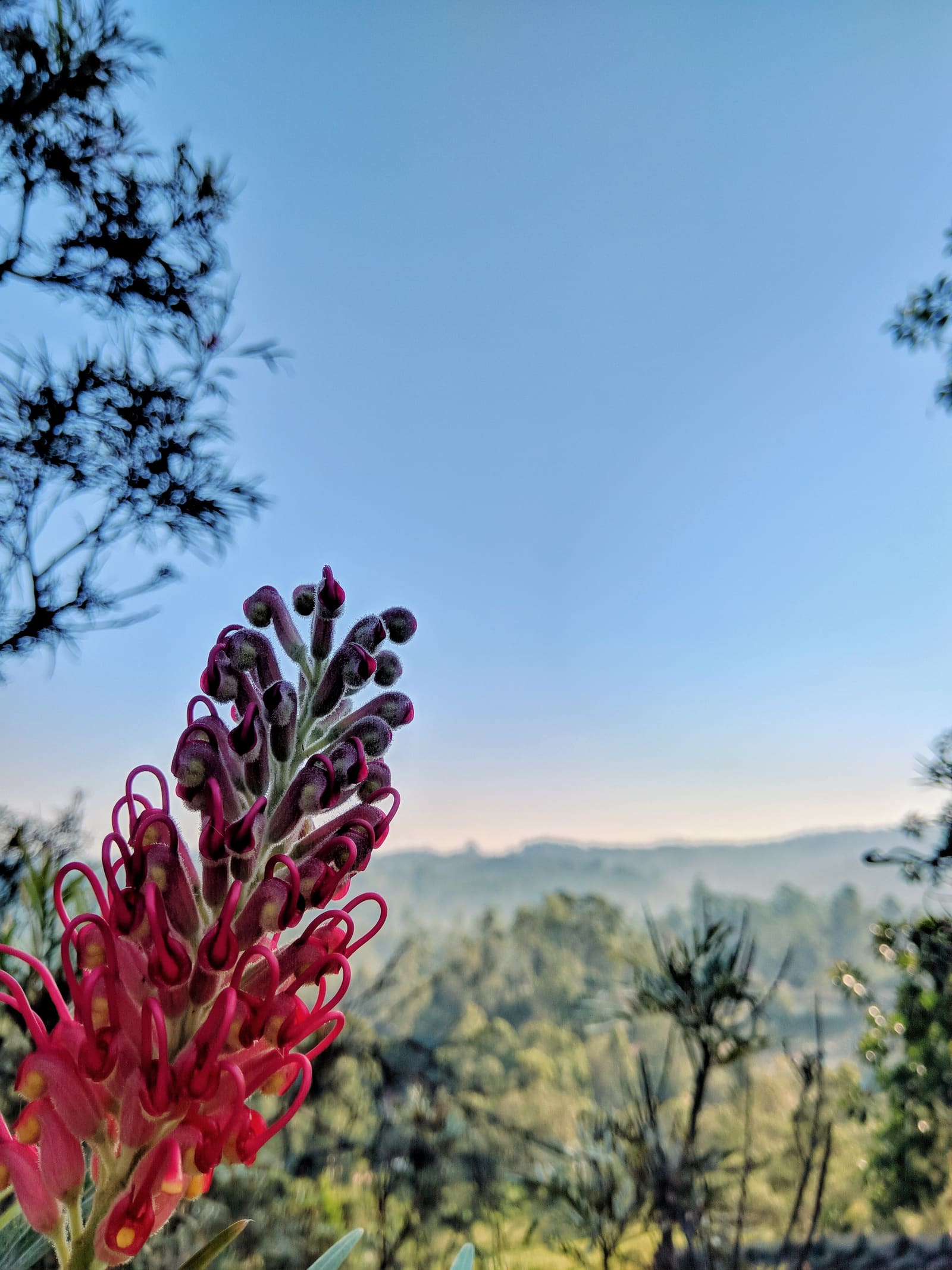 Bandarawela: The Hill Country's Quiet Base Town