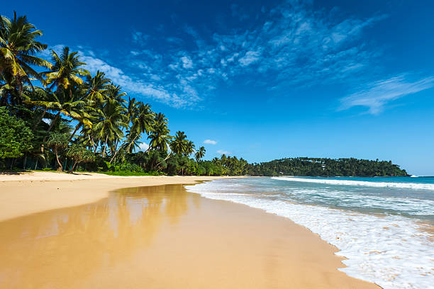 The Best Beaches in Sri Lanka You Must Visit