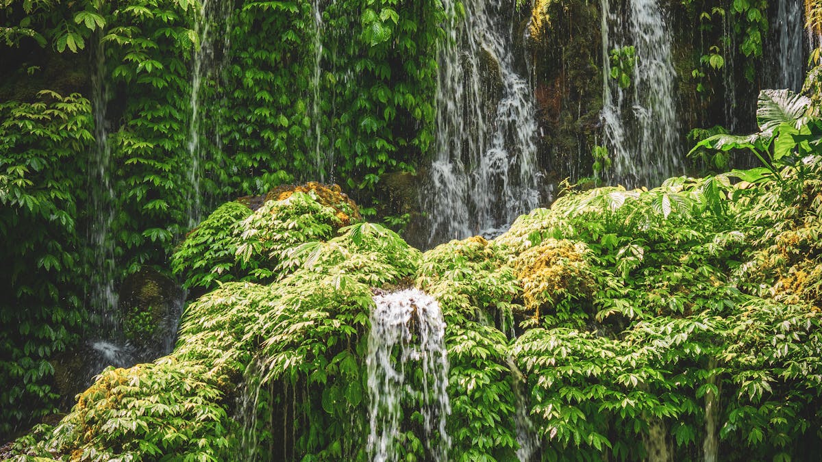 Bopath Ella: The Bo-Leaf Shaped Waterfall of Ratnapura