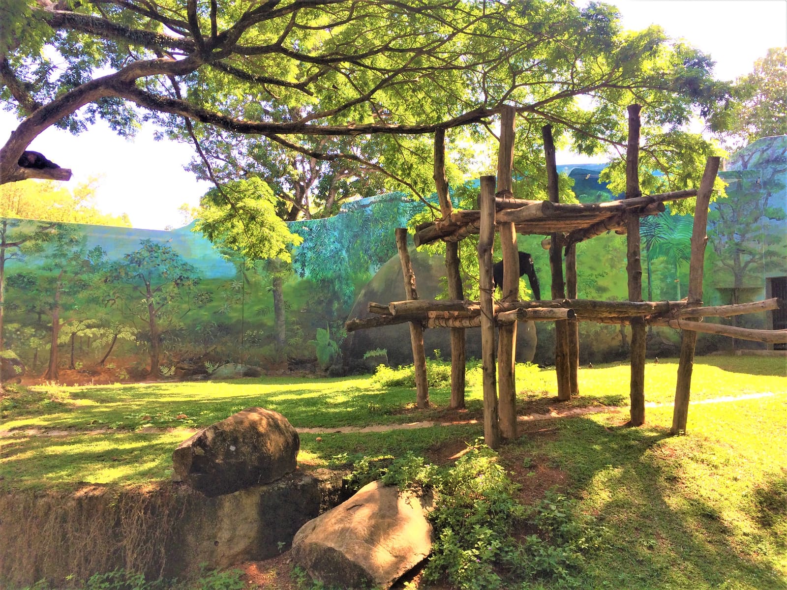 Dehiwala Zoo: Colombo's National Zoological Gardens