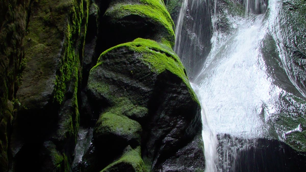 Duwili Ella: The 'Dusty Falls' of Kalthota