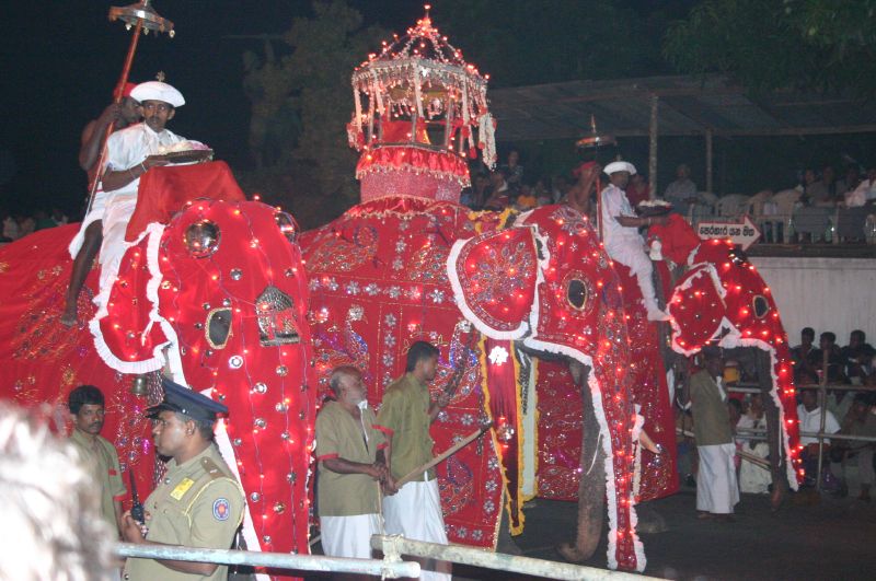 Esala Perahera: Kandy's Grand Festival of the Sacred Tooth