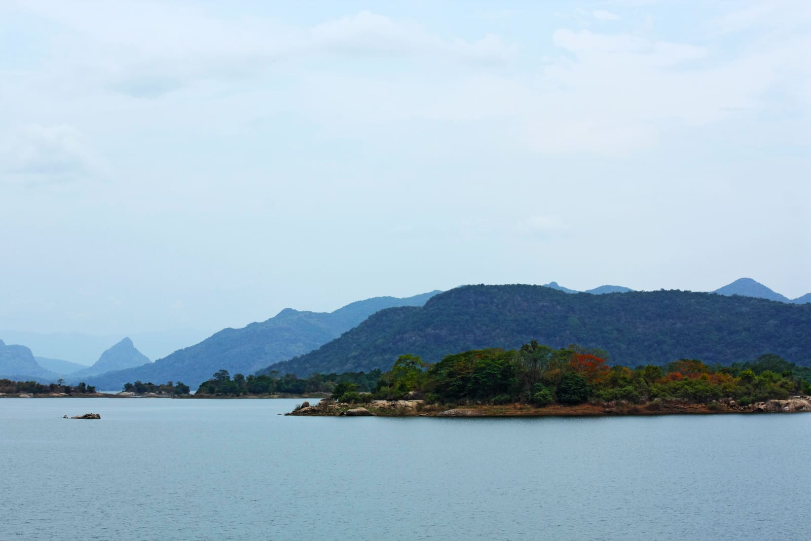Gal Oya National Park: Boat Safaris and Swimming Elephants