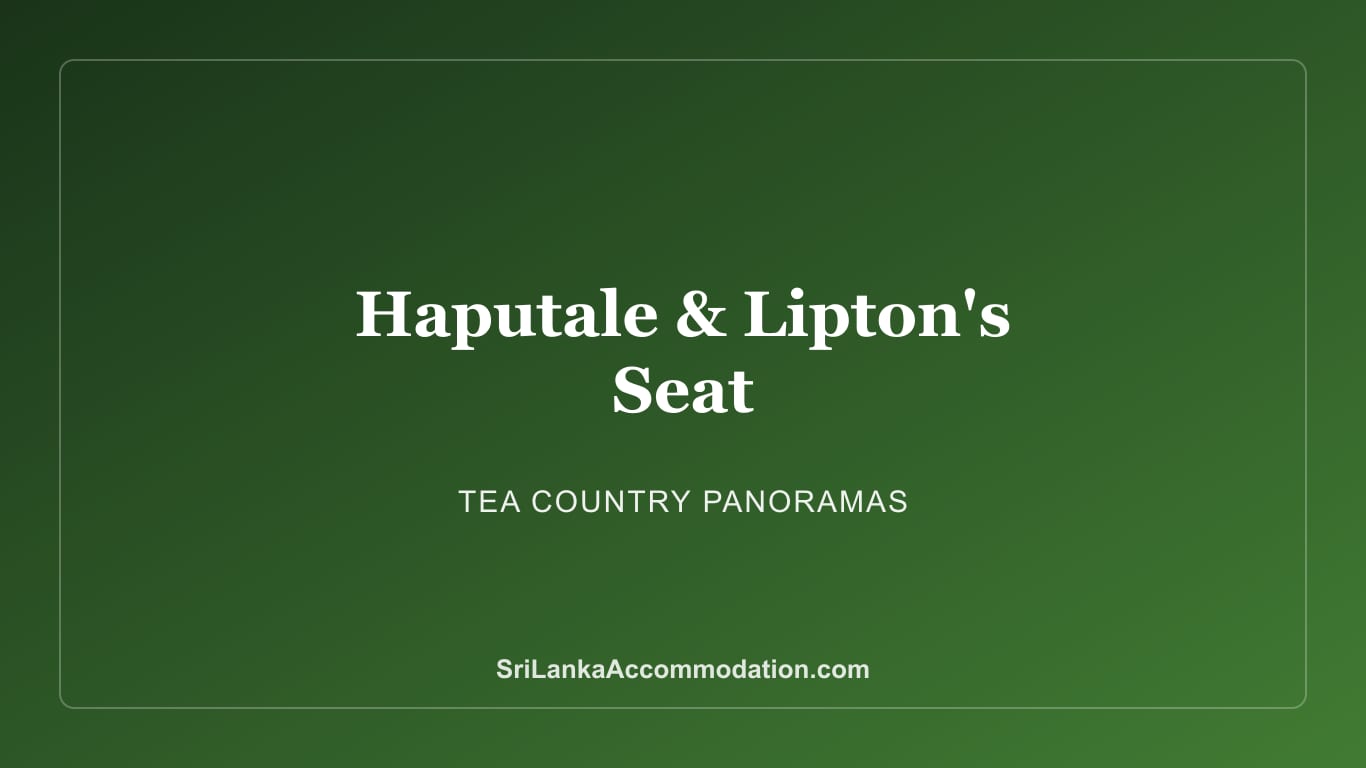 Haputale & Lipton's Seat Guide: Sri Lanka's Tea Country Views