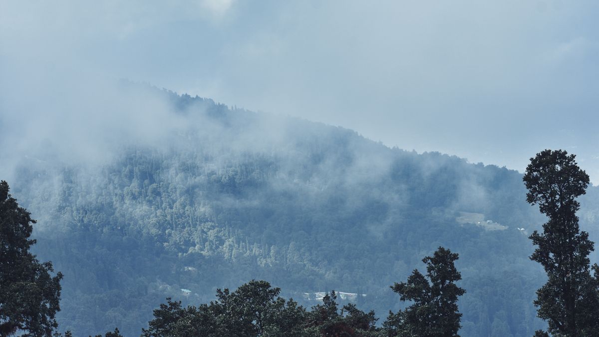 Horton Plains: Cloud Forest, Grasslands & World's End