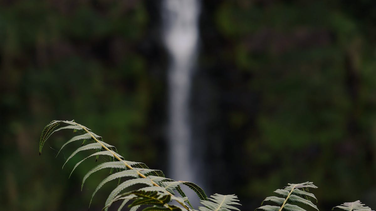 Huluganga Falls: A Knuckles Foothills Cascade Near Kandy