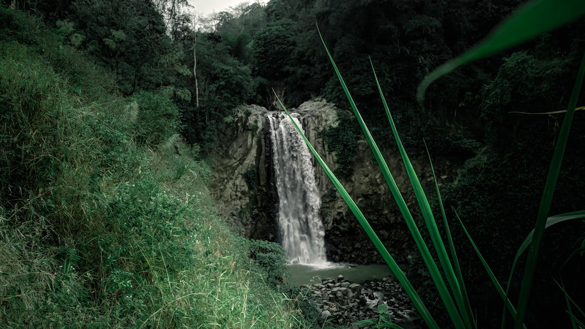 Hunnas Falls: A Scenic Cascade Above Kandy