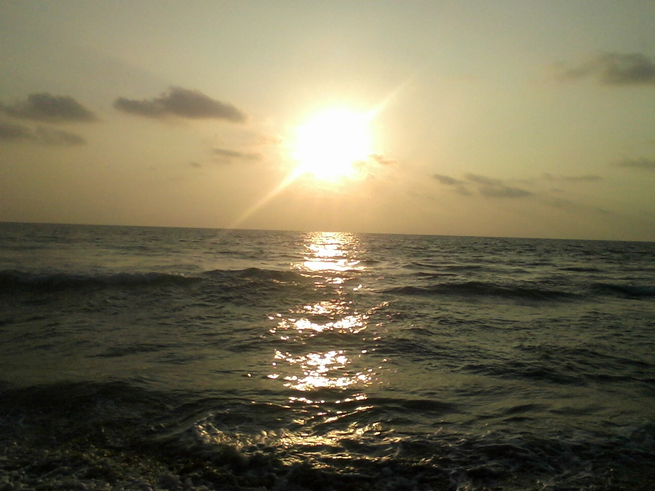 Induruwa Beach: Sri Lanka's Turtle Hatchery Coast