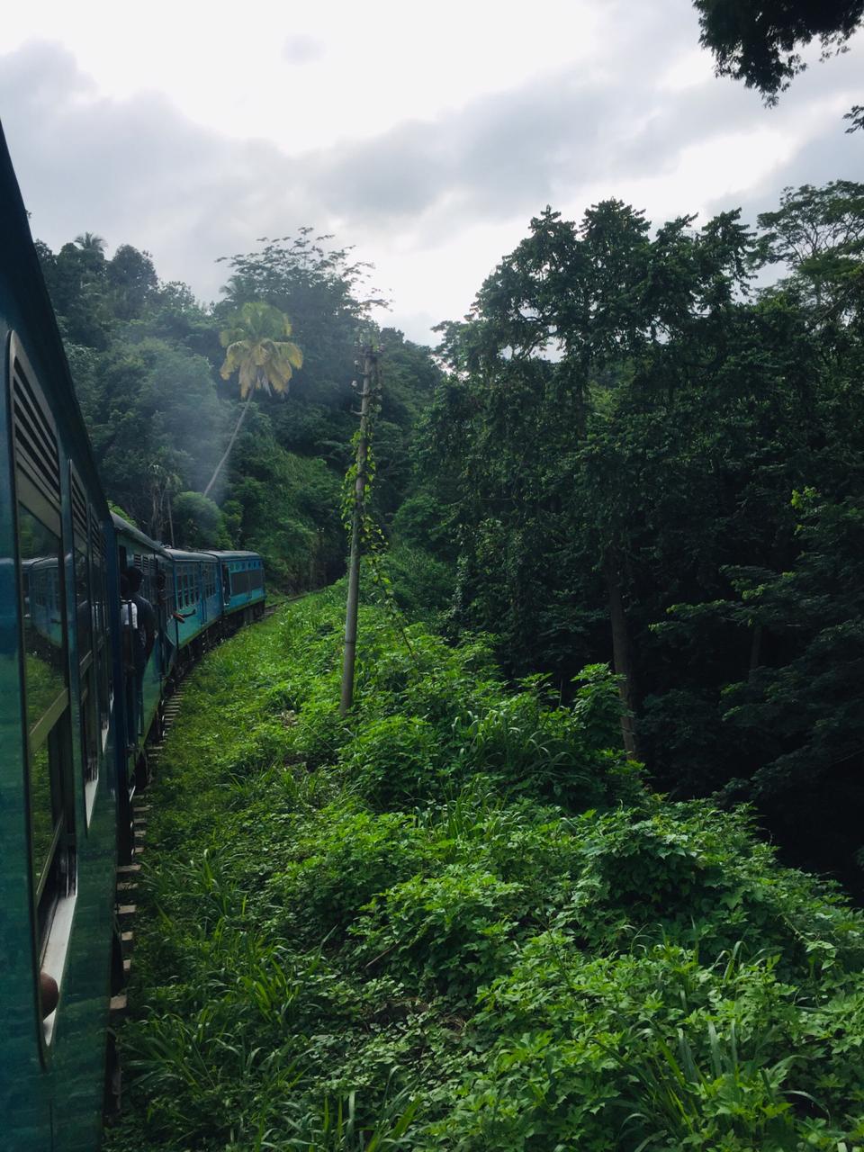 The Kandy to Ella Train: Sri Lanka's Most Scenic Rail Journey