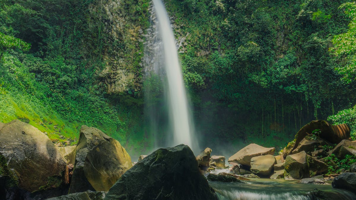 Kanneliya Forest Reserve (KDN): Waterfalls and Wild Greenery