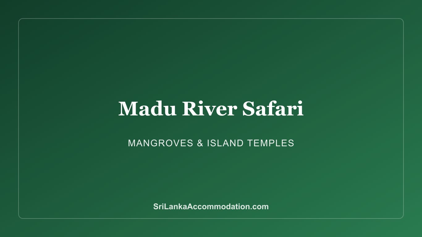 Madu River Boat Safari Guide: Mangroves, Islands & Where to Stay