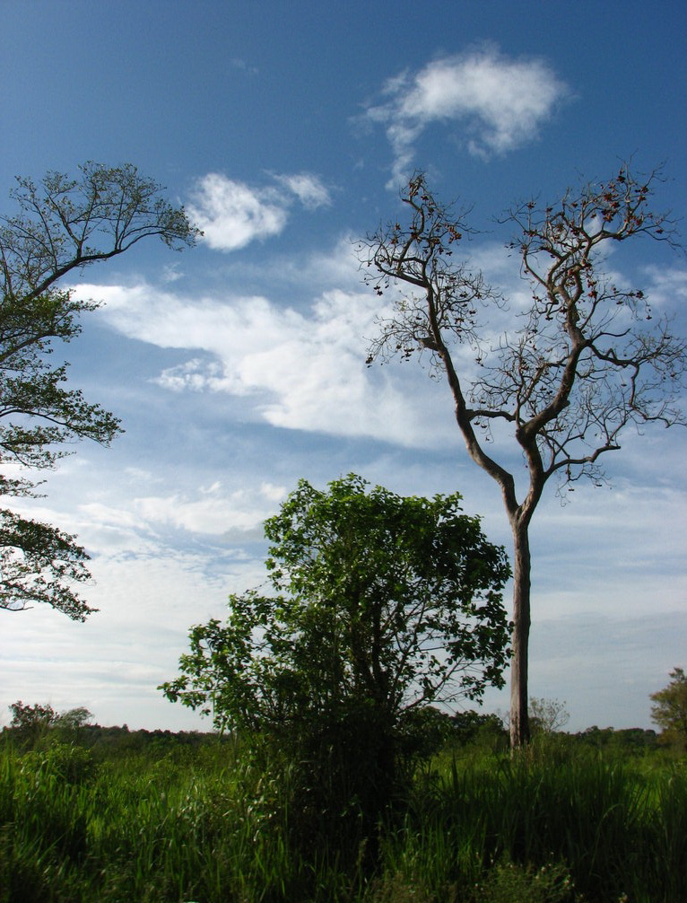 Maduru Oya National Park: Reservoirs and Wild Herds