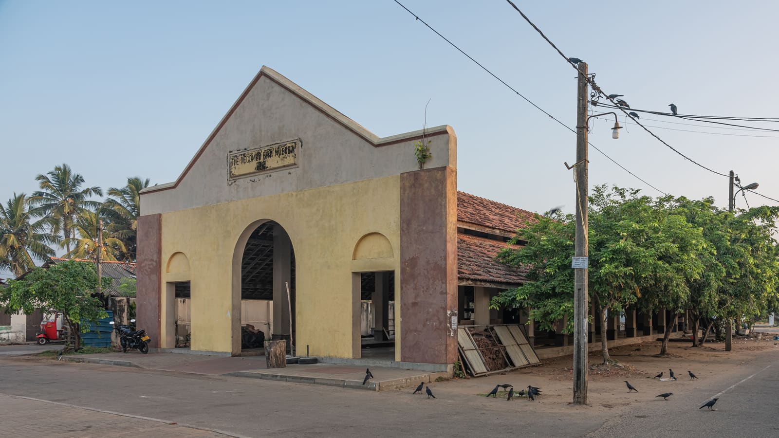 Negombo Fish Market: A Slice of Coastal Sri Lankan Life