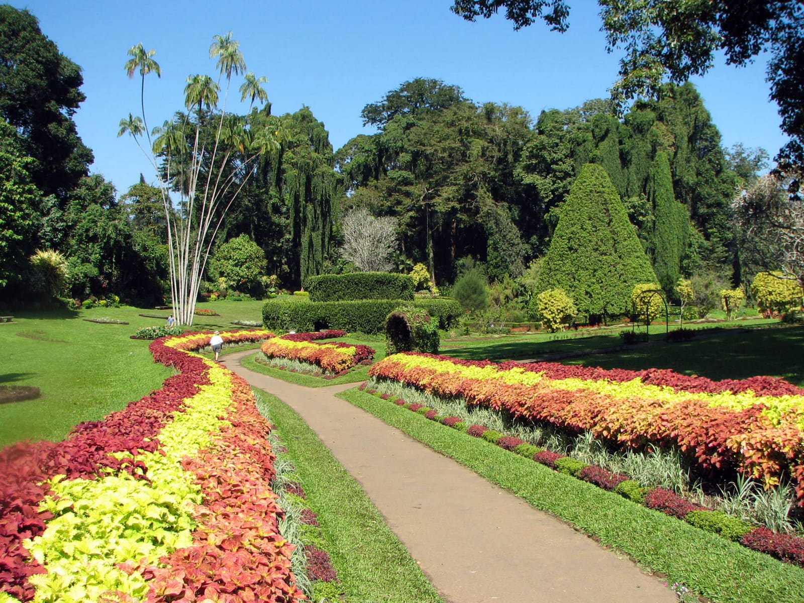 Royal Botanical Gardens, Peradeniya: Kandy's Green Escape