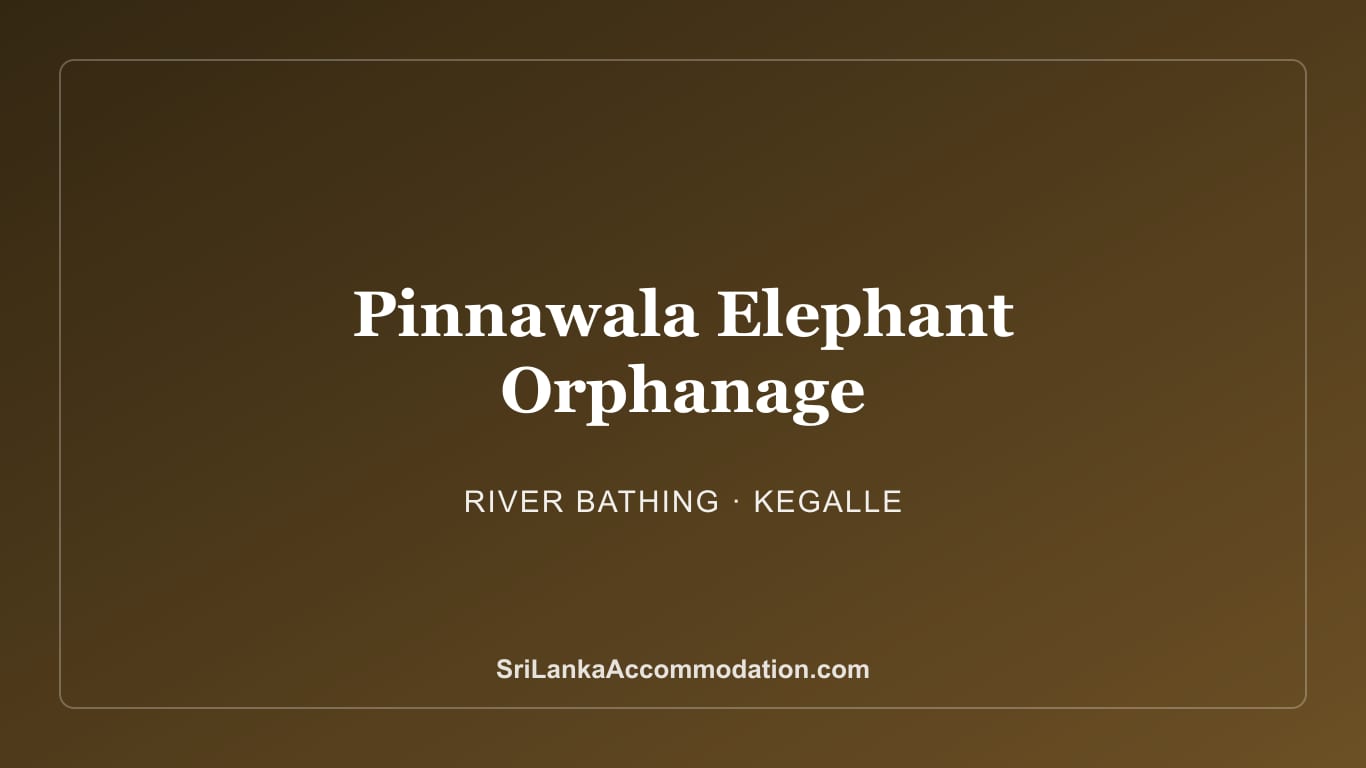 Pinnawala Elephant Orphanage: Visitor's Guide