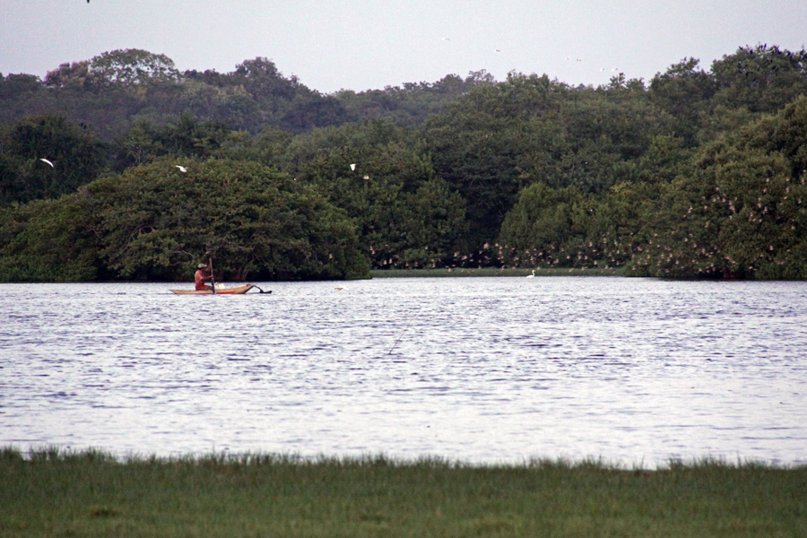 Rekawa Beach: Sri Lanka's Turtle Nesting Shore