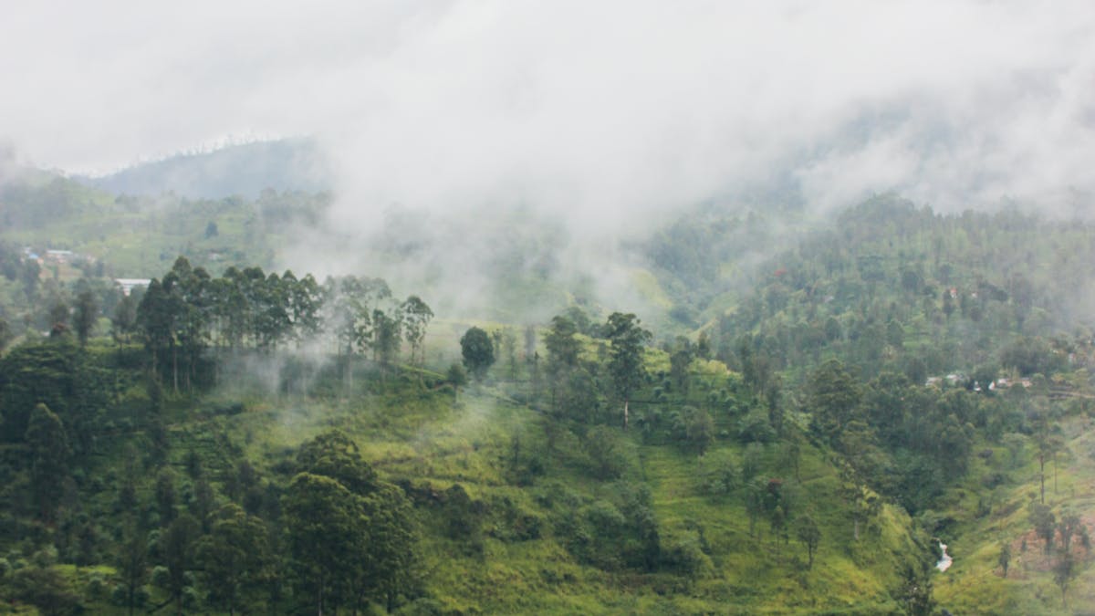 St. Clair's Falls: The 'Little Niagara of Sri Lanka'