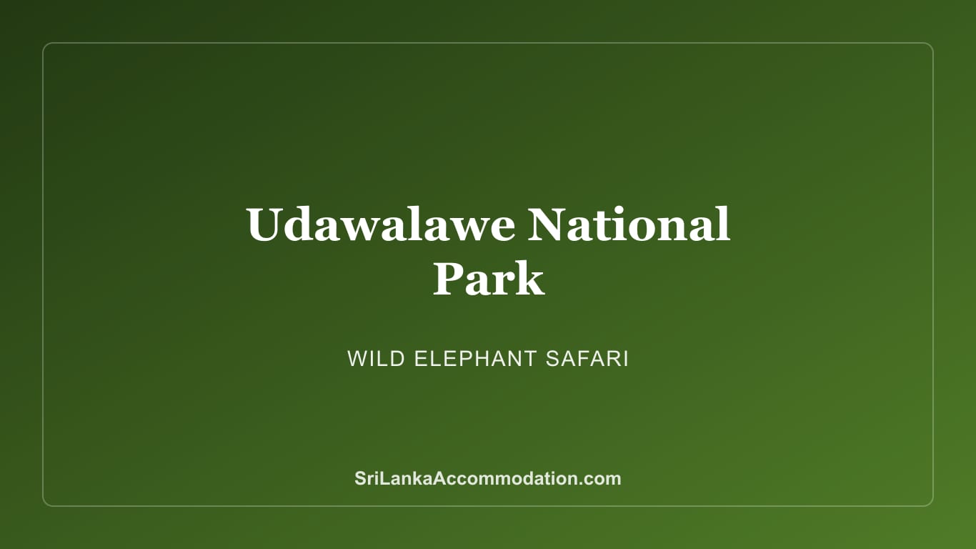 Udawalawe National Park: Sri Lanka's Best Elephant Safari