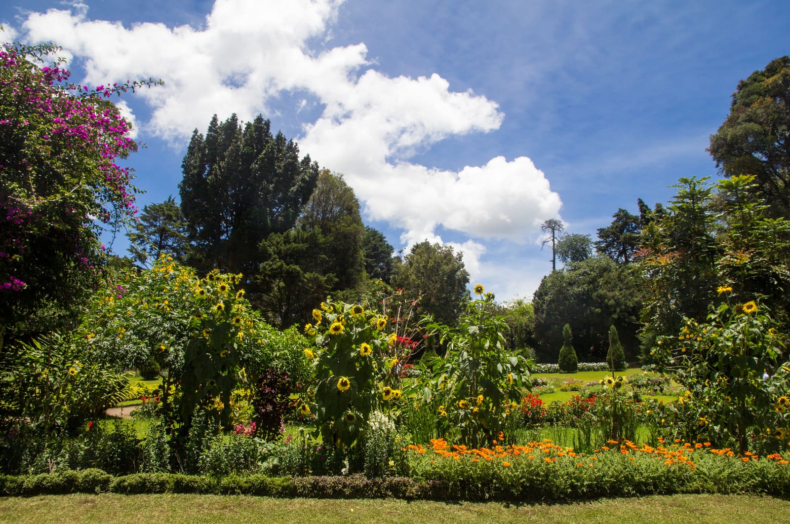 Victoria Park: Nuwara Eliya's Colonial Garden