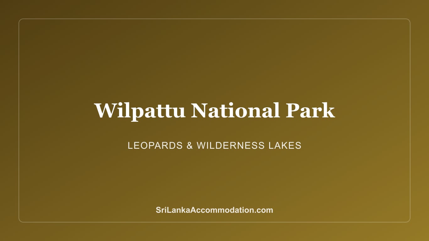 Wilpattu National Park: Leopards, Lakes & Safari Guide
