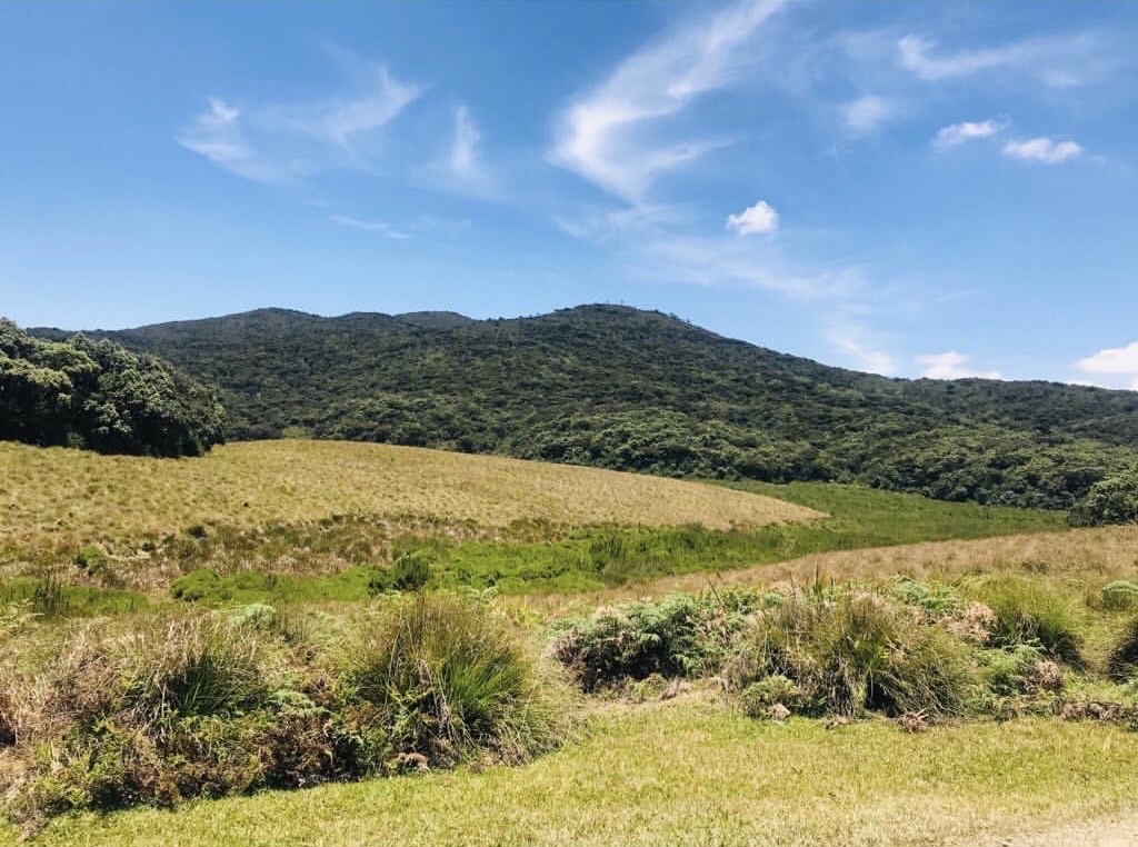World's End: Horton Plains' Dramatic Cliff Edge
